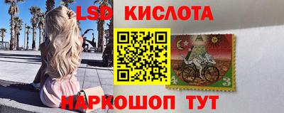 spice Обь