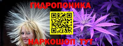 spice Обь