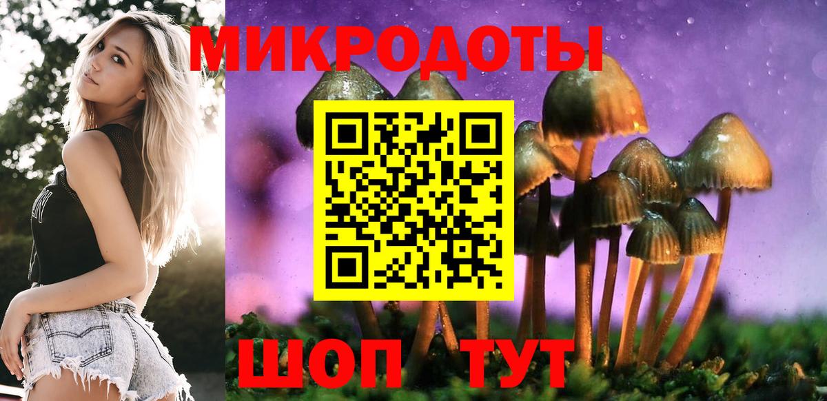 Шали  Псилоцибиновые грибы прущие грибы  Вход с VPN 